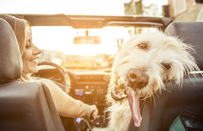 Happy Jackson MS driver and her dog enjoying a reliable car after mobile mechanic service
